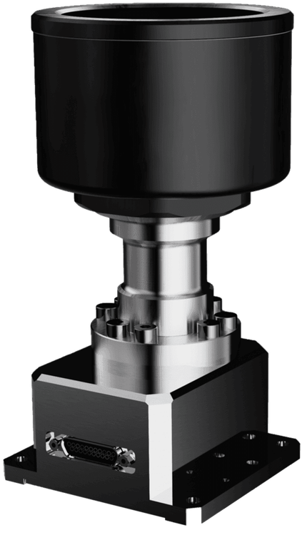 Auricam